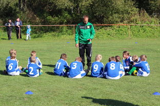 开云娱乐官网-国足对不同战术体系适应能力评估，国足体能与技术分析